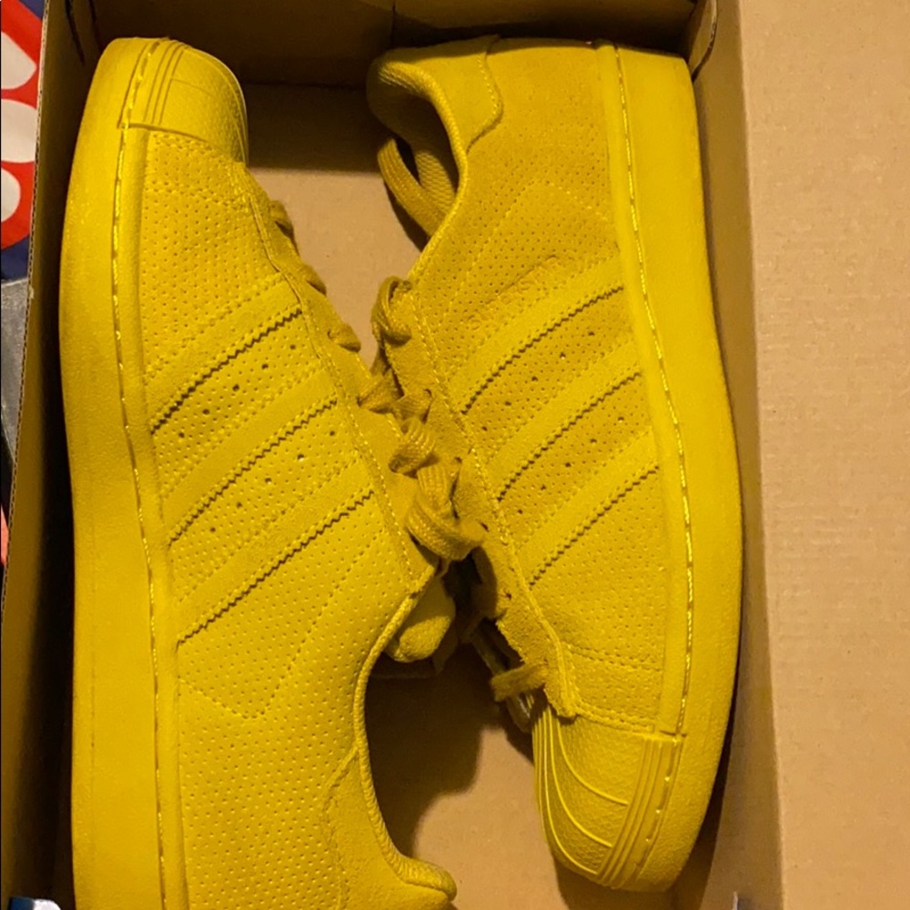 PHARRELL SUPERSTAR ADIDAS
